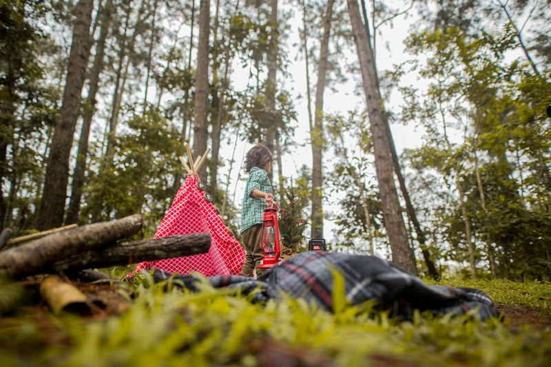 Herbstferien im Wald – Natur entdecken und erleben