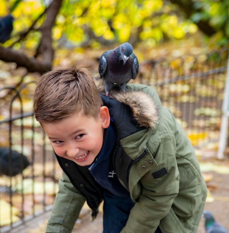 Futterstation für Vögel