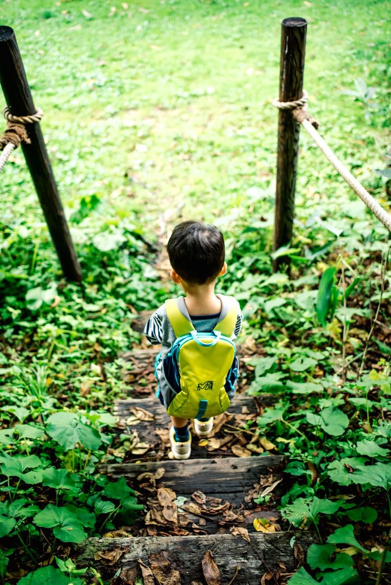 BNE: Abenteuertag im Wald (ab 8 Jahre)