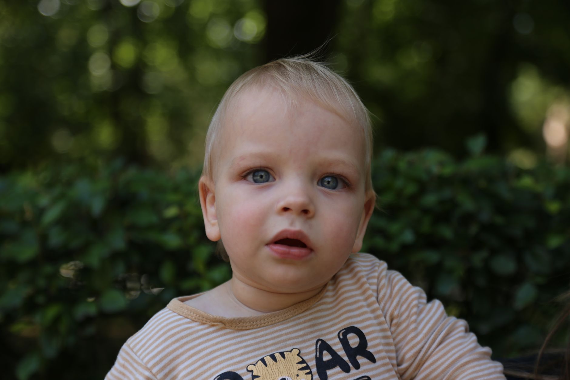 BNE: Bionik: Falttechniken der Natur (8 - 10 Jahre)