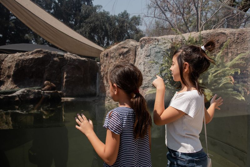 WildparkKids in den Pfingstferien I