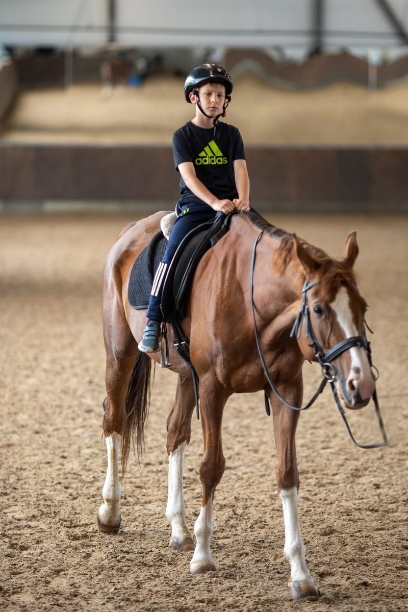 Ferienerlebnistage beim Datti`s Pony Club (Herbstferien)
