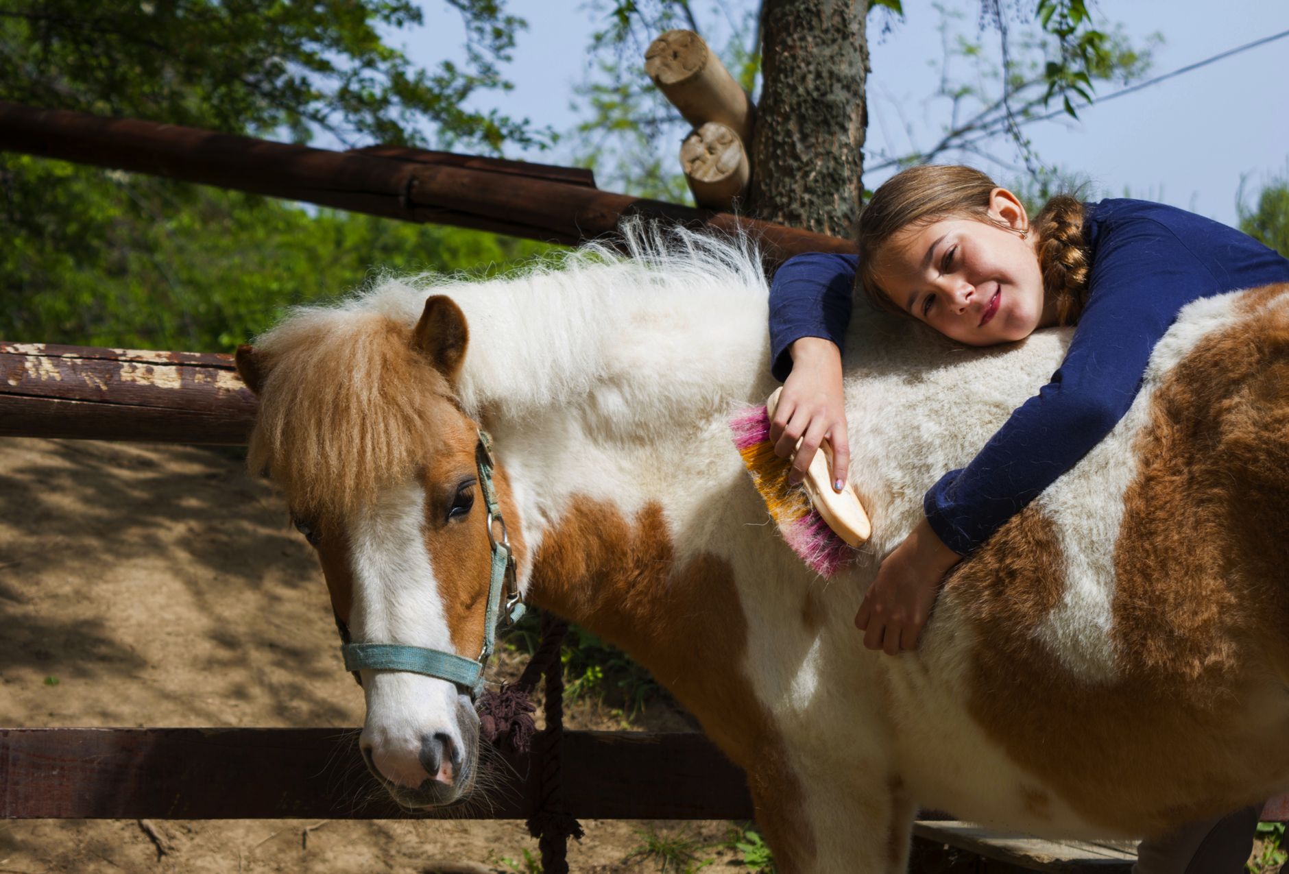 Herbstferien mit Ponys - Reitverein Siebenberger Strolche e.V. - verschiedene Aktionen