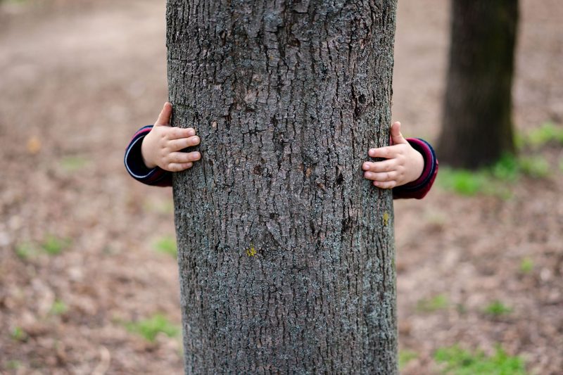 KW 45 -Ferienbetreuung Herbstferien im Kinderhort Waldram