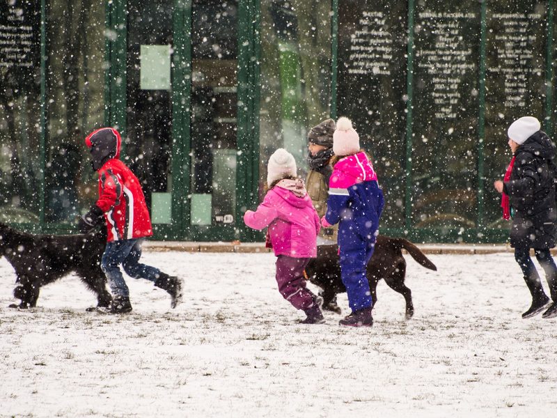 Ein Hund ist kein Spielzeug - Wissenwertes über den Hund.