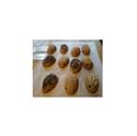 Herbst-Backworkshop in der Coppenrath Schulbäckerei