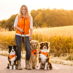 Workshop „Das kleine Hunde – 1x1 mit Pfötchendiplom"