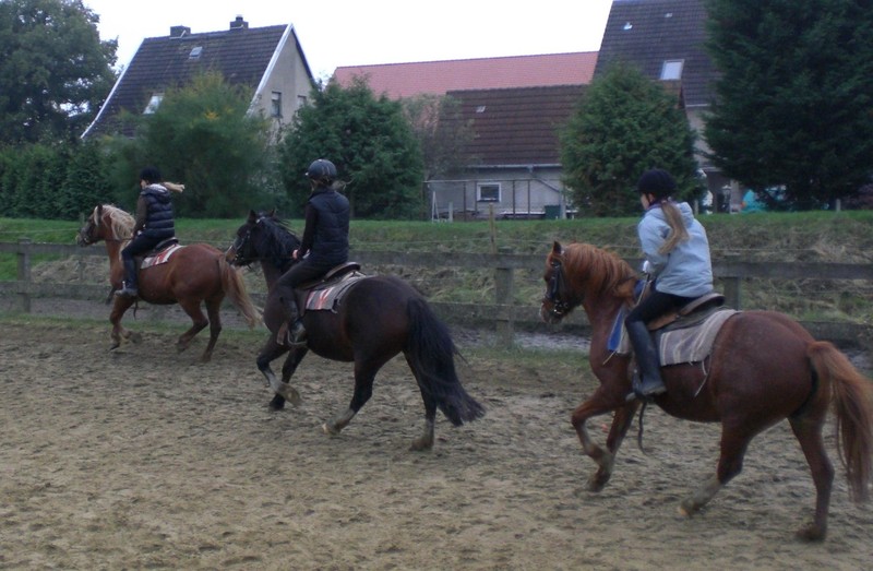 Reiterinnenfreizeit auf dem Talhof –in Edertal/Wellen