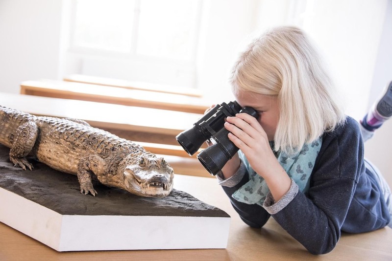 Winter 1: Museum Wiesbaden Entdeckungstour (4 Tage)