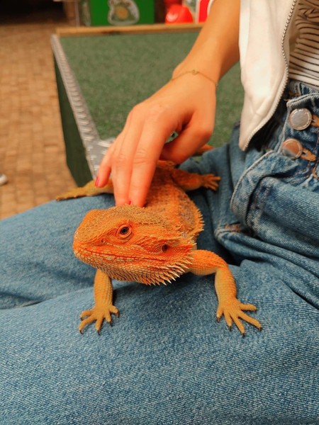 Winter 2: Tagesfahrt: Reptilium Landau