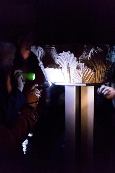 Nachts im Museum: Schatzsuche im Dunkeln - Wir bringen Verborgenes ans Licht