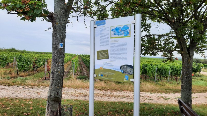 Heimat erzählt - 1. Oktober Rümmelsheim