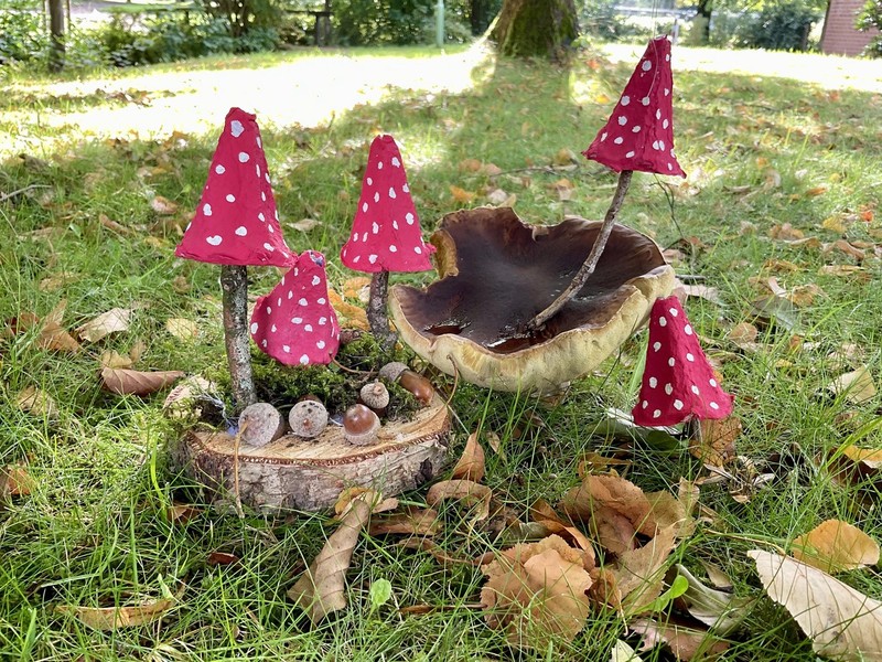 🍄🍂🎨 Kreativ-Freitag 🎨🍂🍄