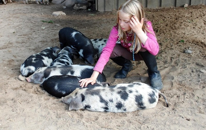 Einmal Tierpfleger*in sein in der Arche Warder III