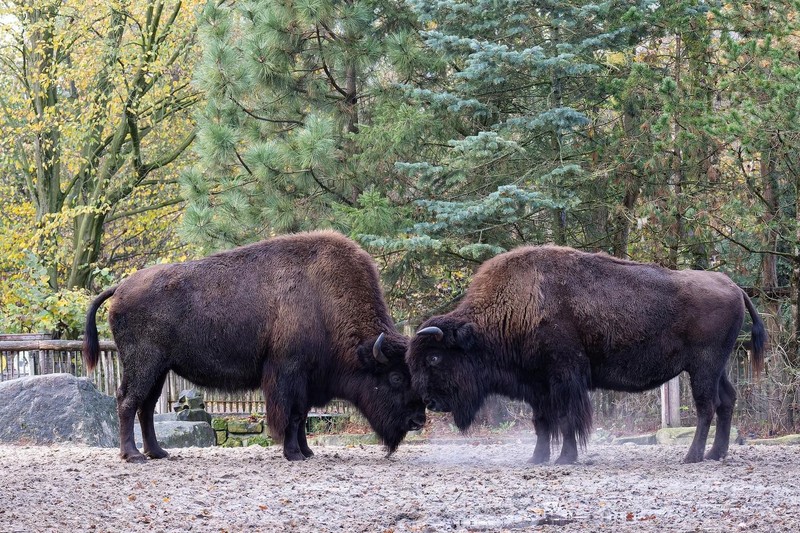 Hinter den Kulissen des Tierparks