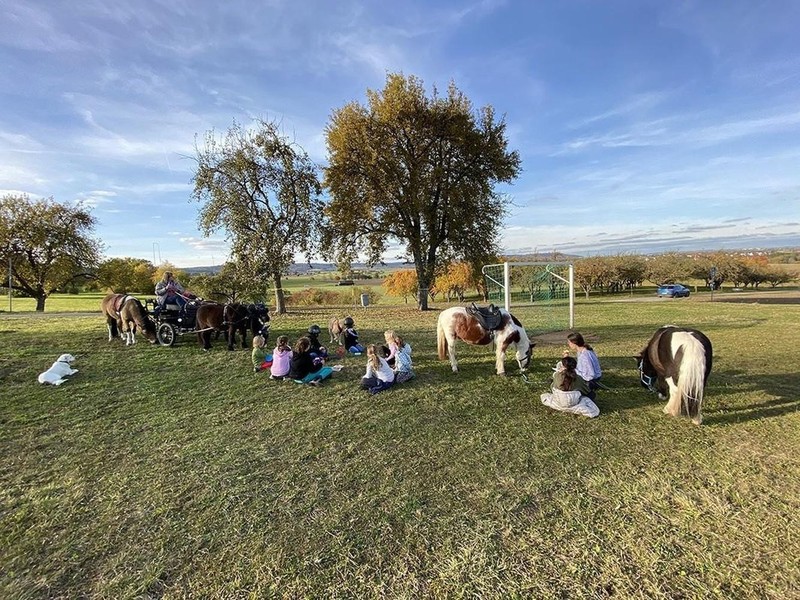 Wandern mit Ponys