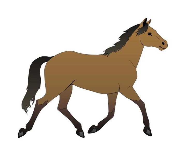 Volti & Reiten