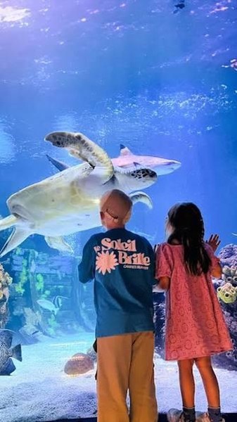 Wir fahren nach Oberhausen: Sea Life + CentrO