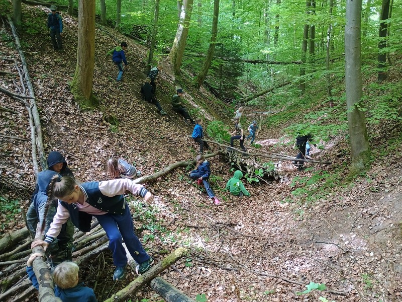 Unser Waldtag