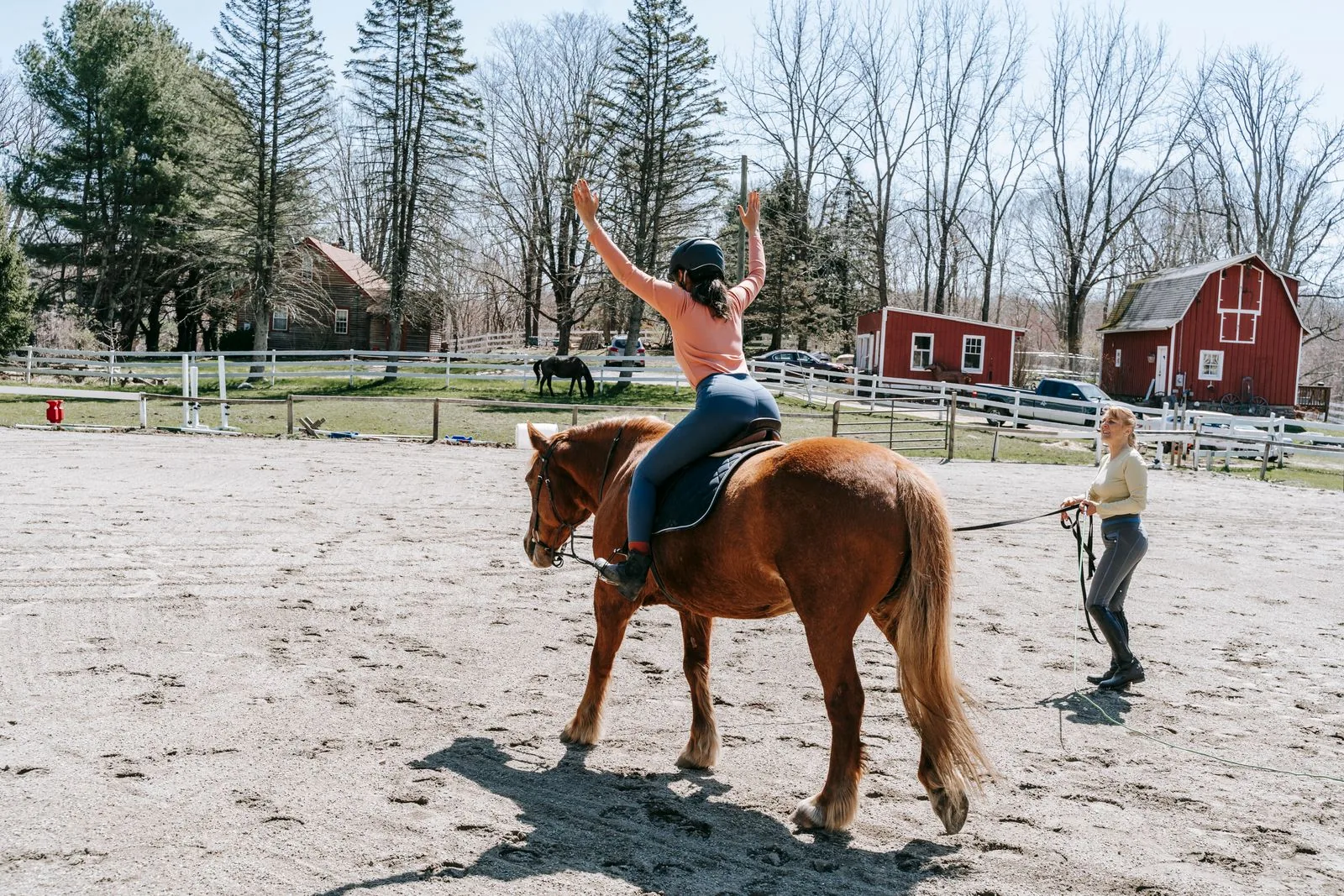 Reiten & Ponyhöfe für Kinder